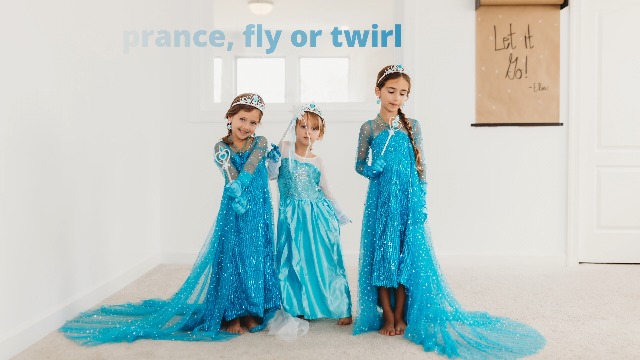 Amazon.com: Butterfly Craze Fairy Princess Tutu Costume Set